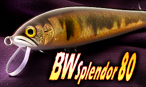 BW Splendor80(BWXv_[80)