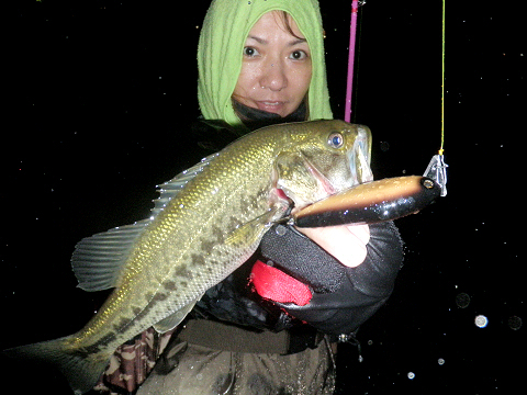 u0520_1.jpg