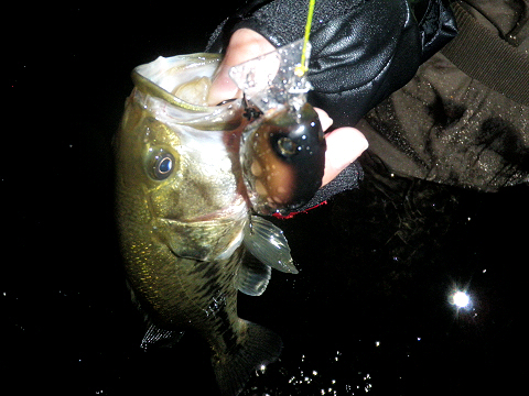 u0520_2.jpg