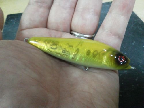 411-2(500pcal.jpg