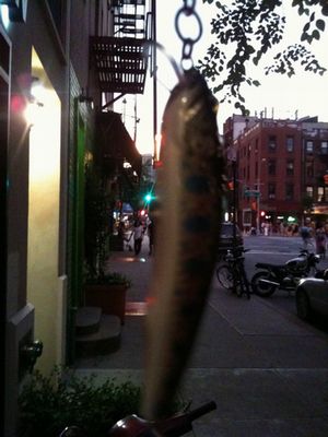 708_1ny.jpg